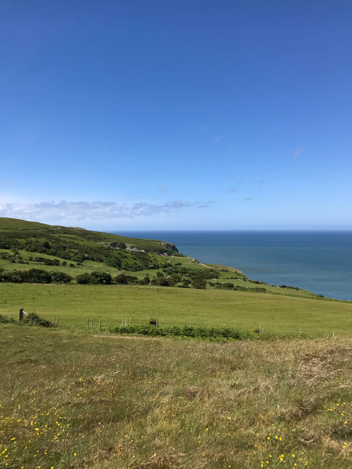 ocean view from a grassy knoll in wales.
