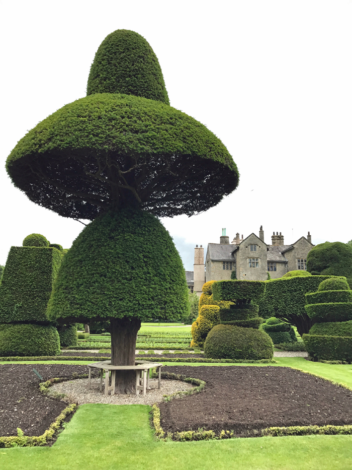 A green topiary plant in a garden at Levens Hall.