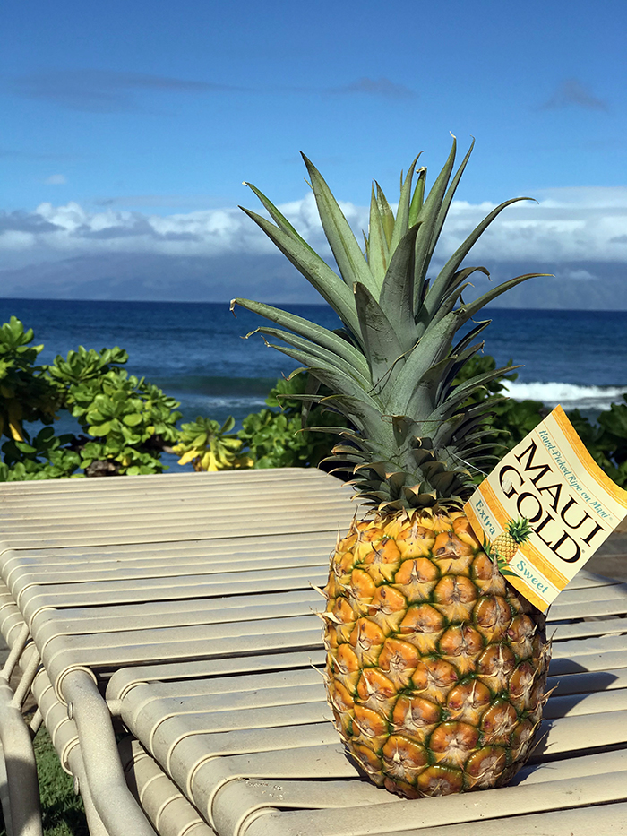 pineapple on lounge chair by ocean