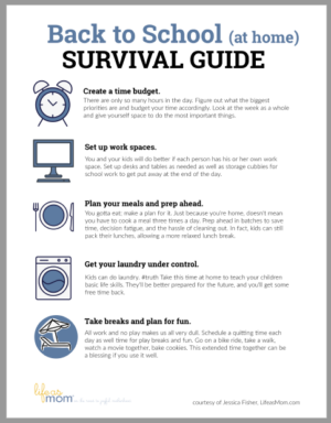 image of BTS survival guide