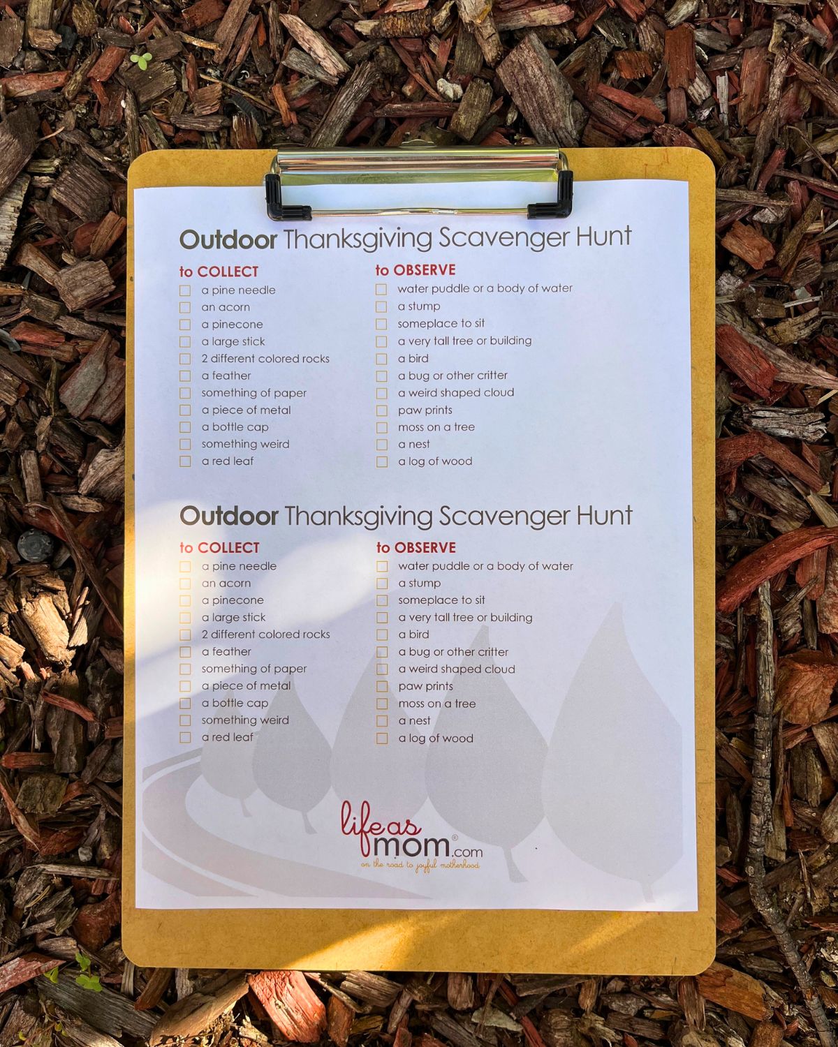 outdoor scavenger hunt checklist on clipboard laying in wood chips.
