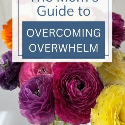flowers in a vase with text overlay, the mom's guide to overcoming overwhelm.