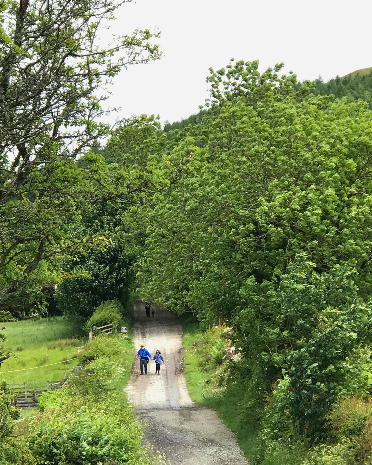 two people walking on a path in the countryside.