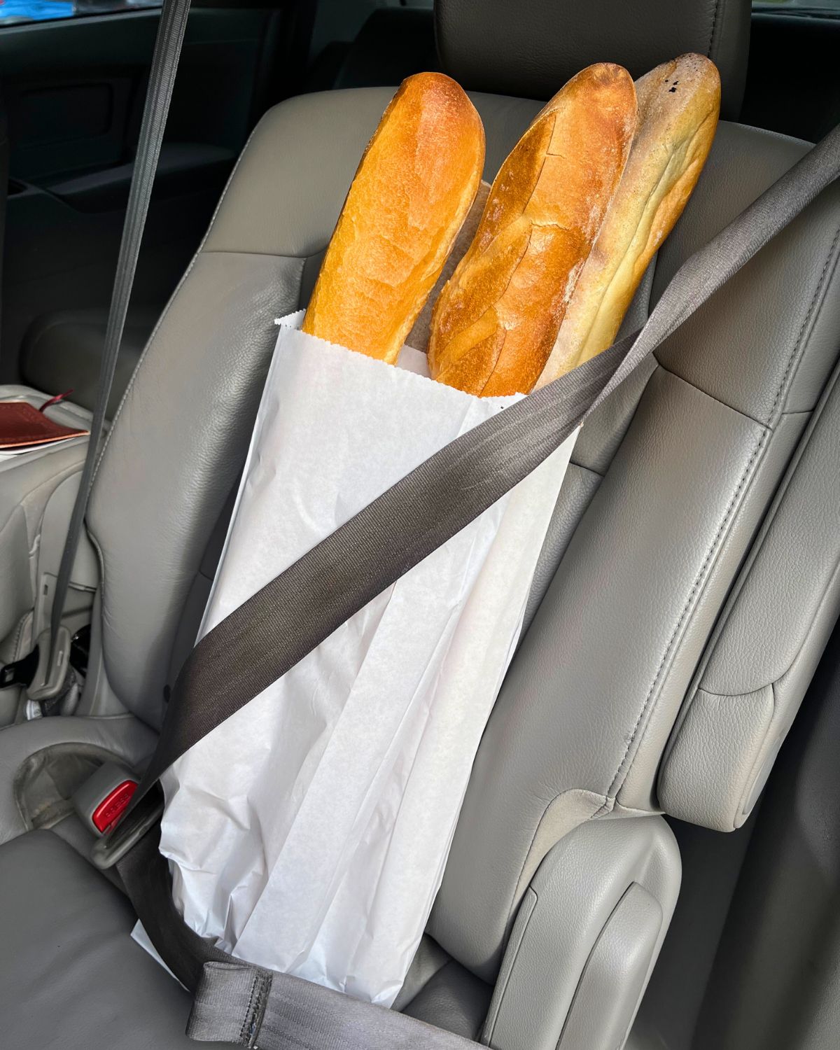 baguettes secured with a seatbelt in the car.