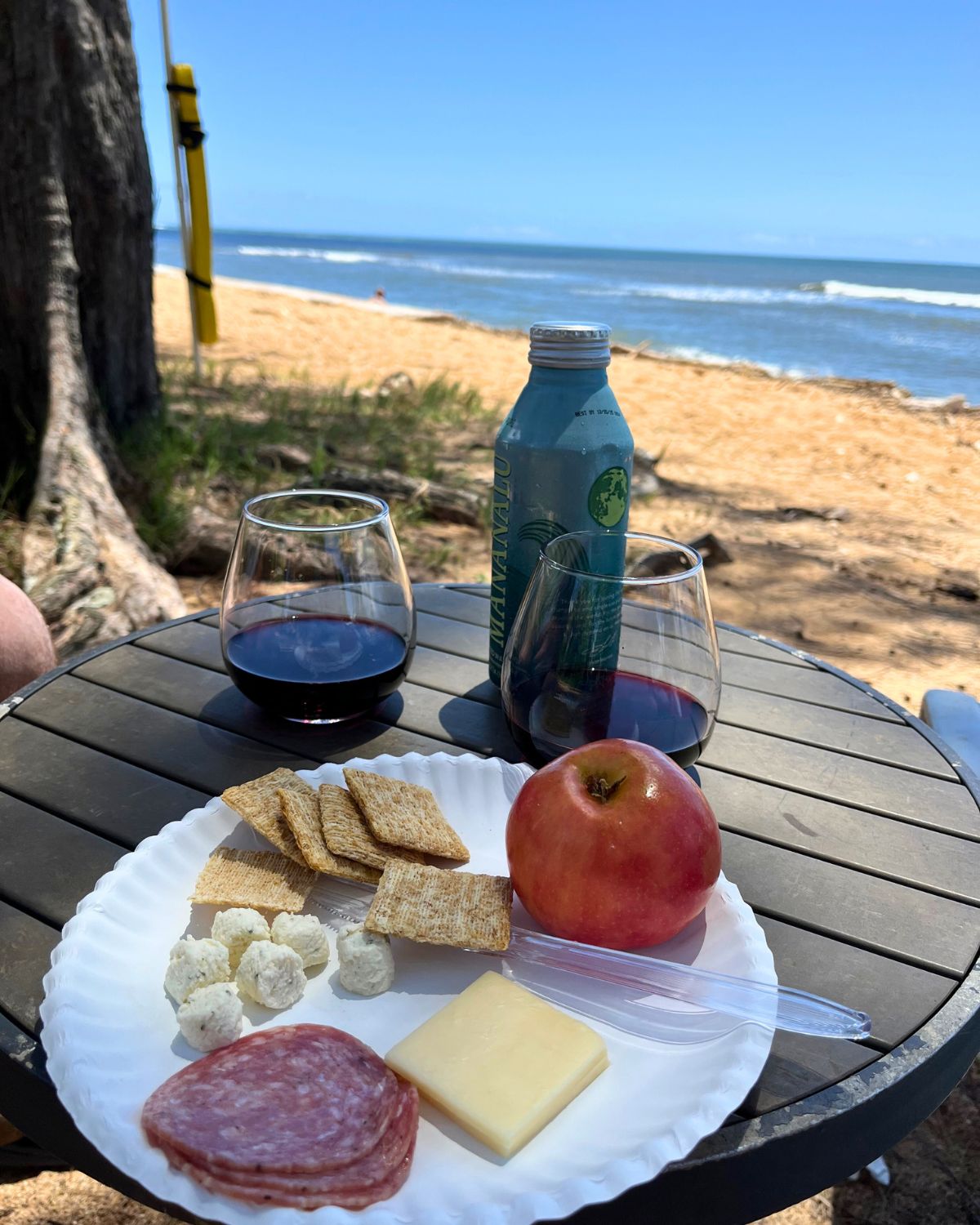 grocery store picnic on the beach with snacks and wine.