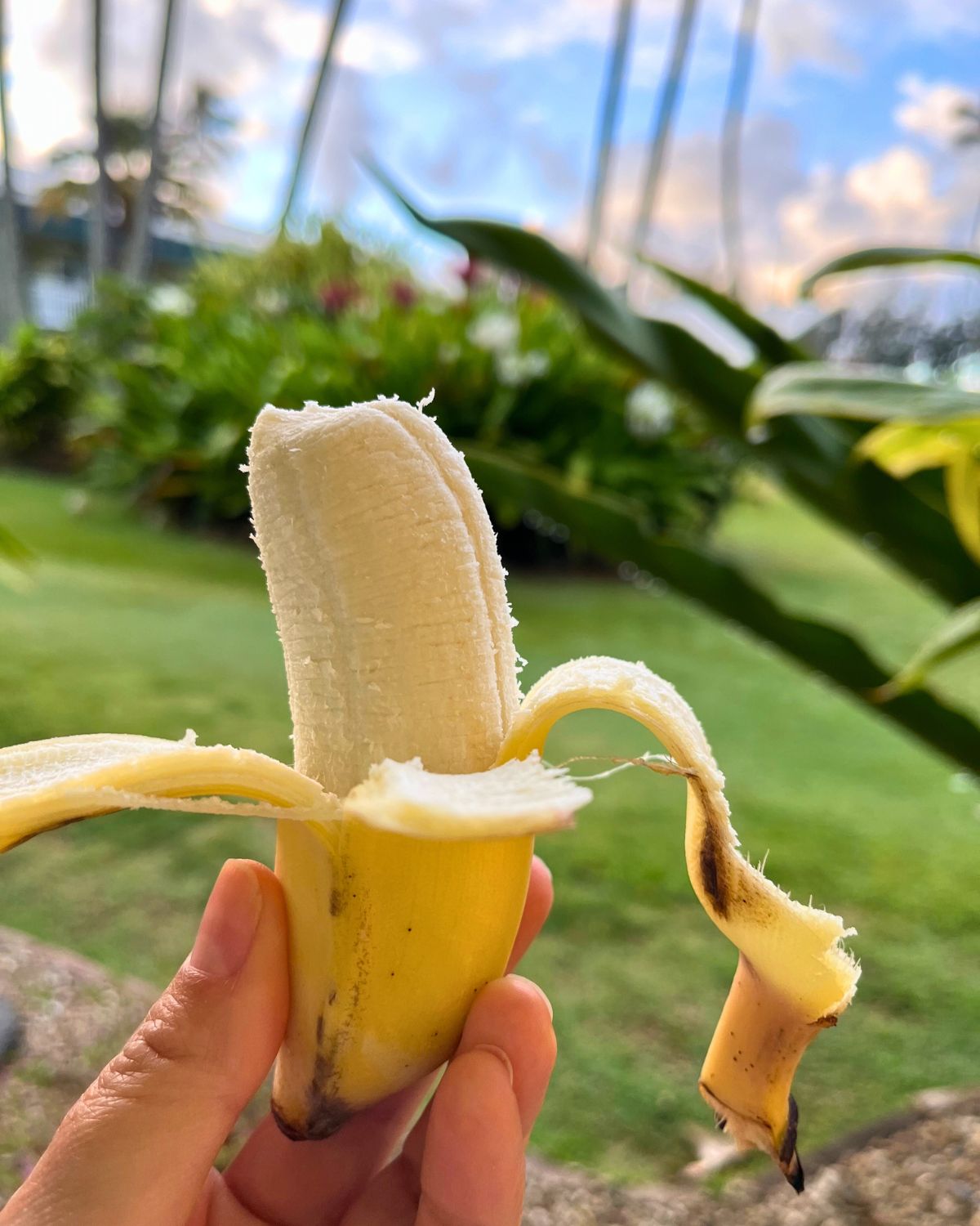 holding up a banana in front of palm trees.