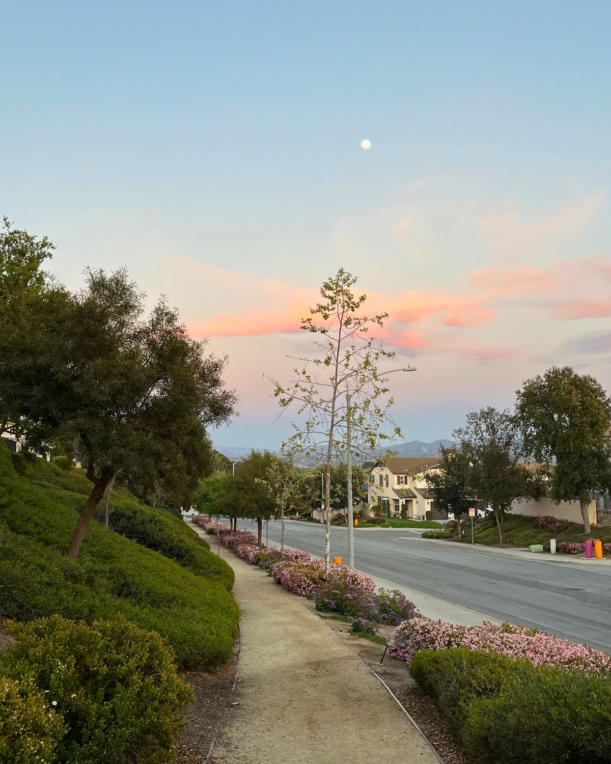 dusk moon rising over houses and trees.
