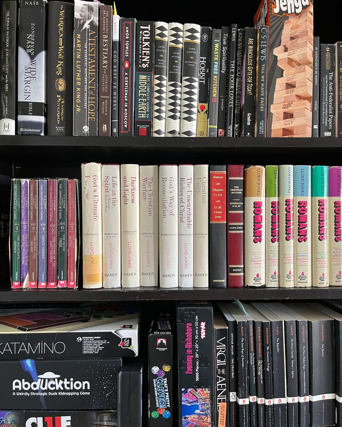 books on bookshelves.
