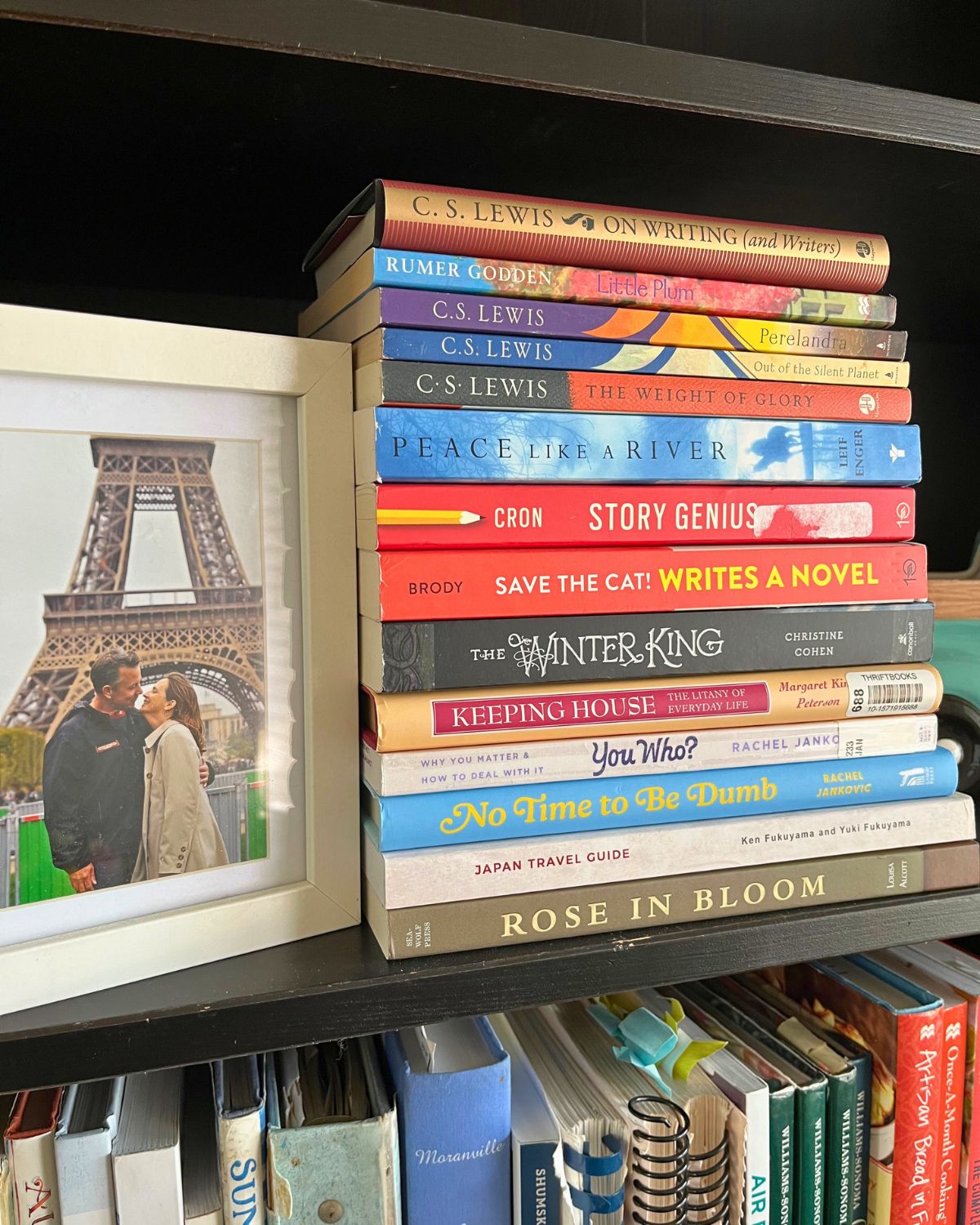 stack of books read this year.