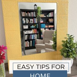 living room scene reflected in a mirror with plants nearby, with text overlay.