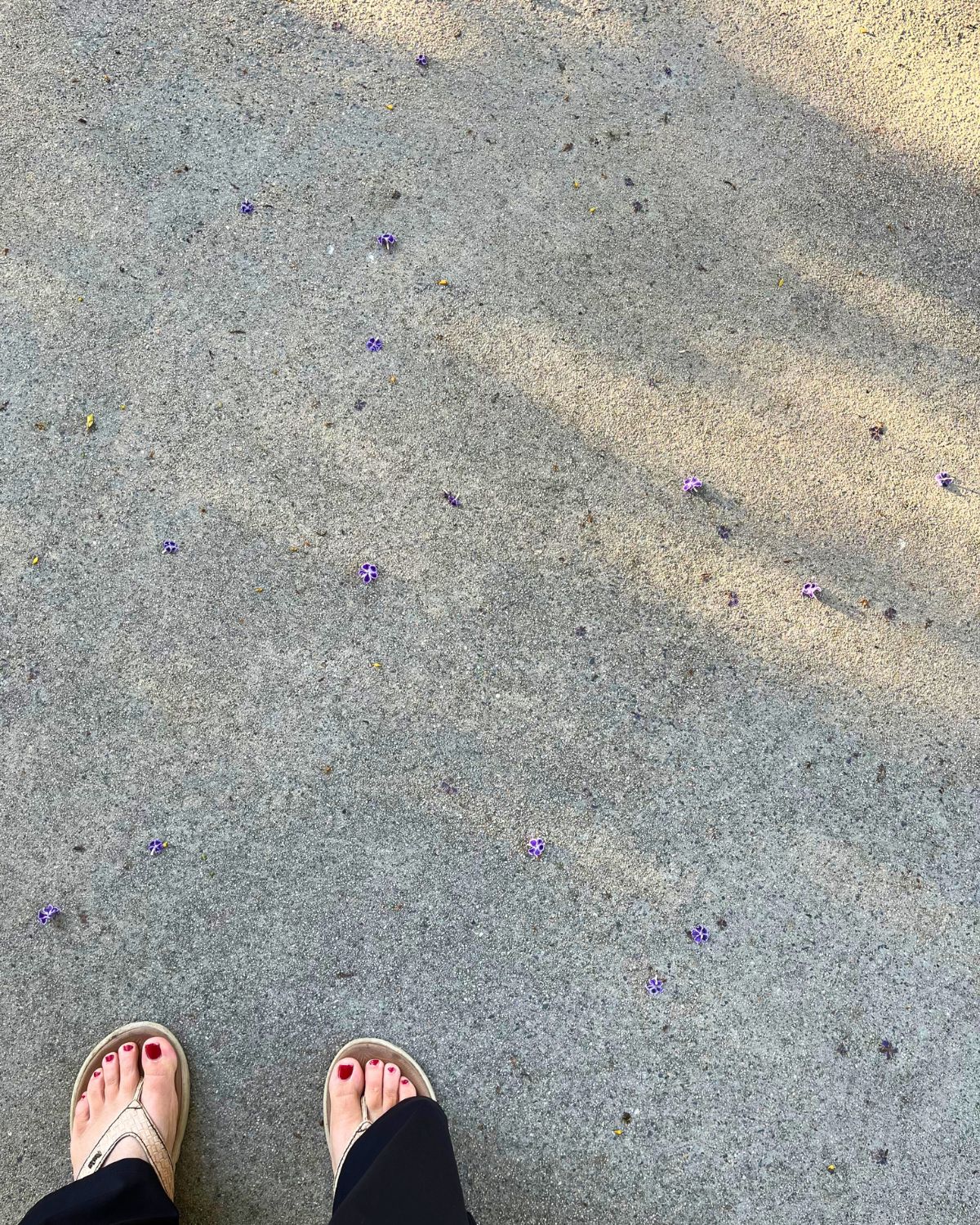 view of concrete with purple flowers and two feet in flip-flops.