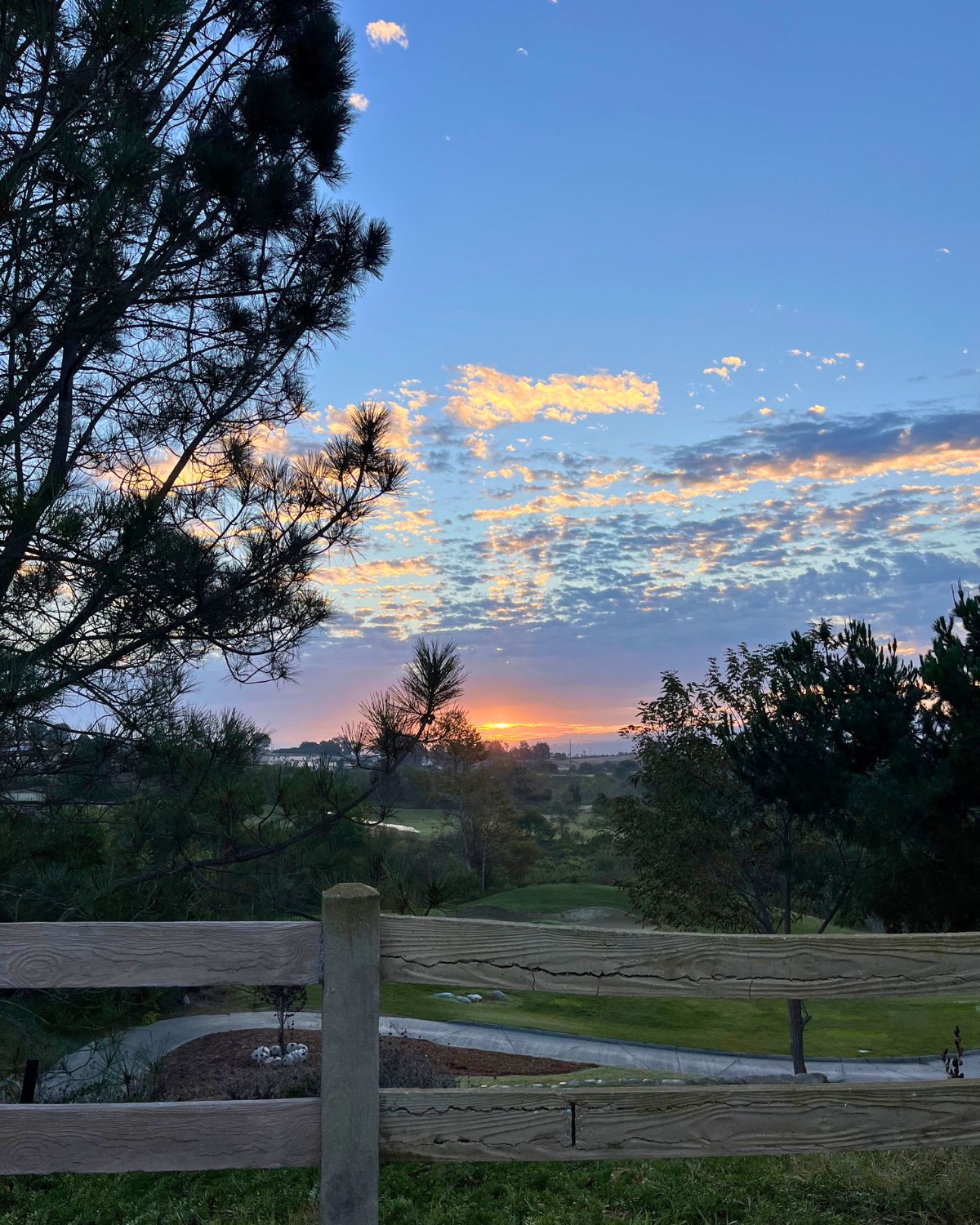 sunrise over the golf course.