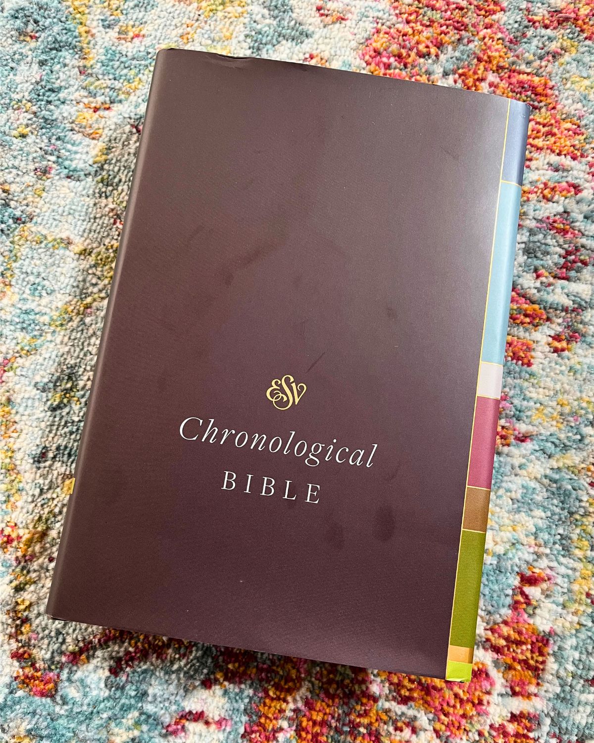 brown chronological bible on colorful background.