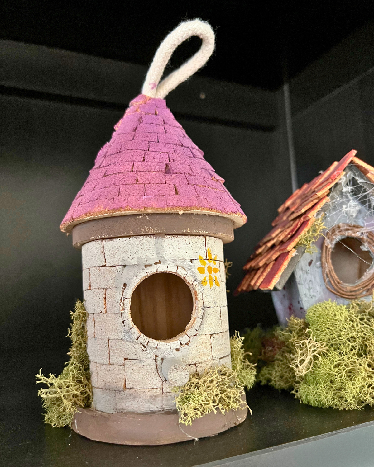 rapunzel birdhouse on a black bookshelf.