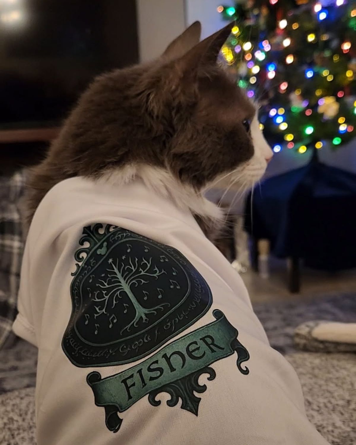 figaro in a fisher t-shirt.