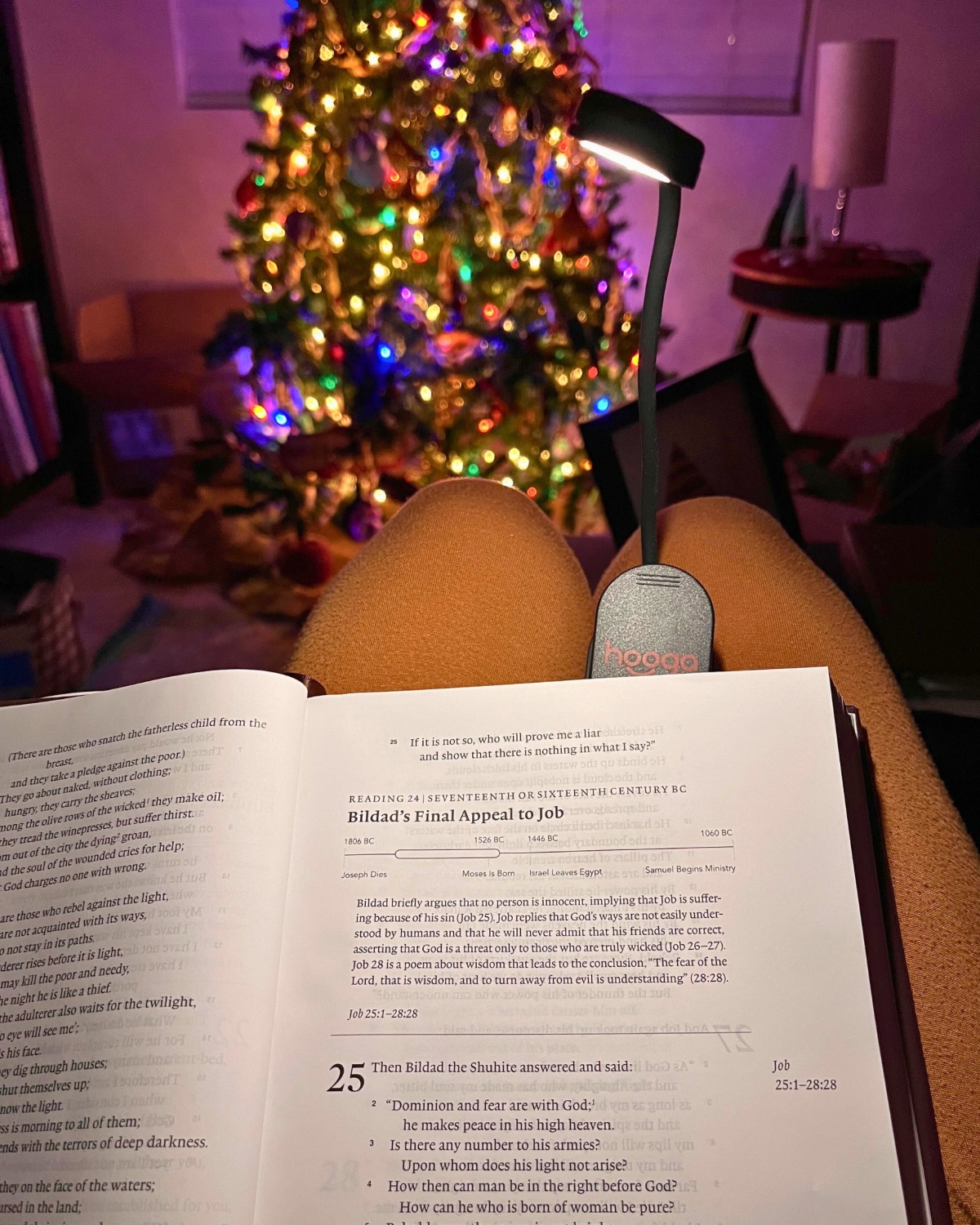 Bible open to job on lap with book lamp, with lit Christmas tree in the background.