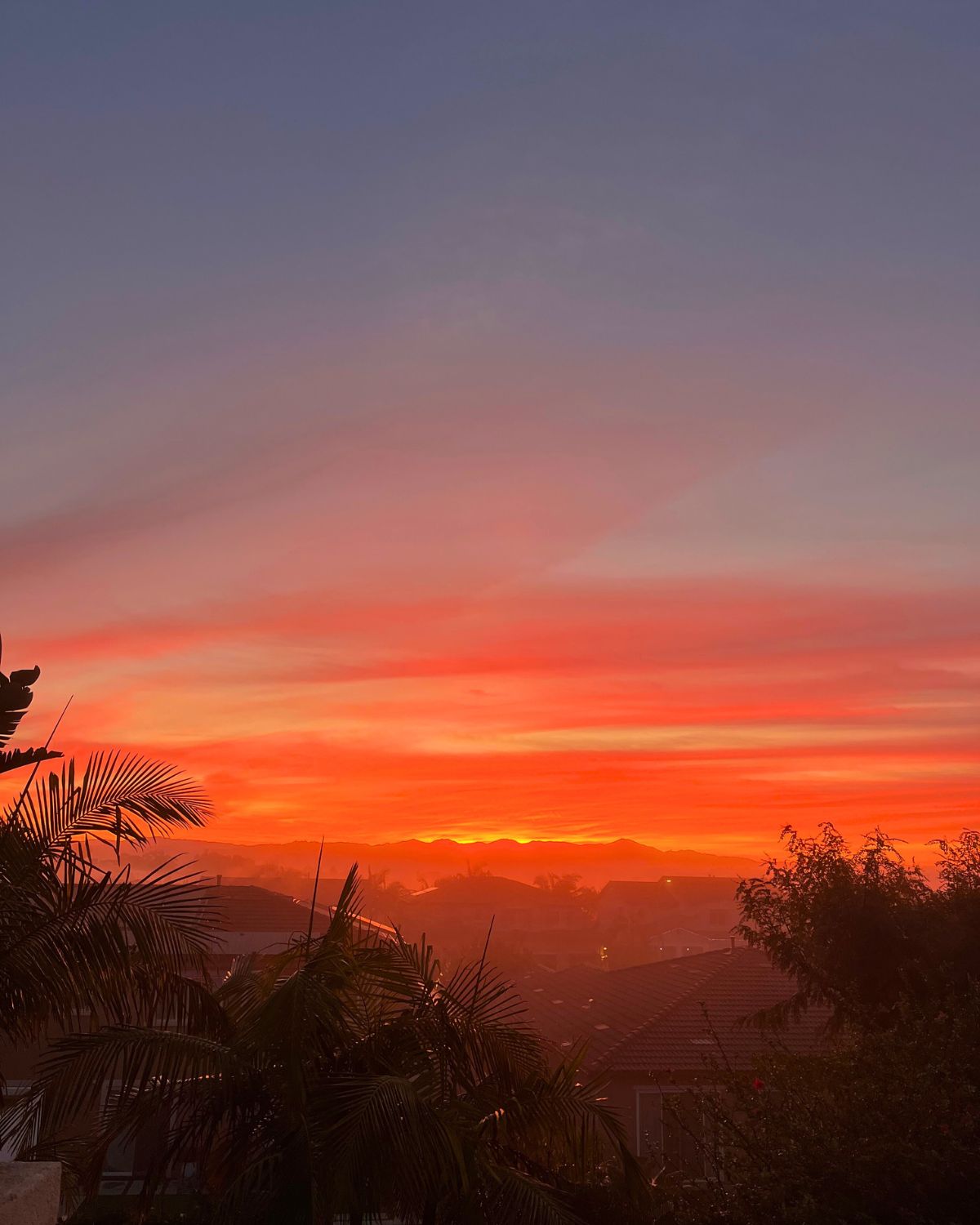 amazing sunrise after the fog.