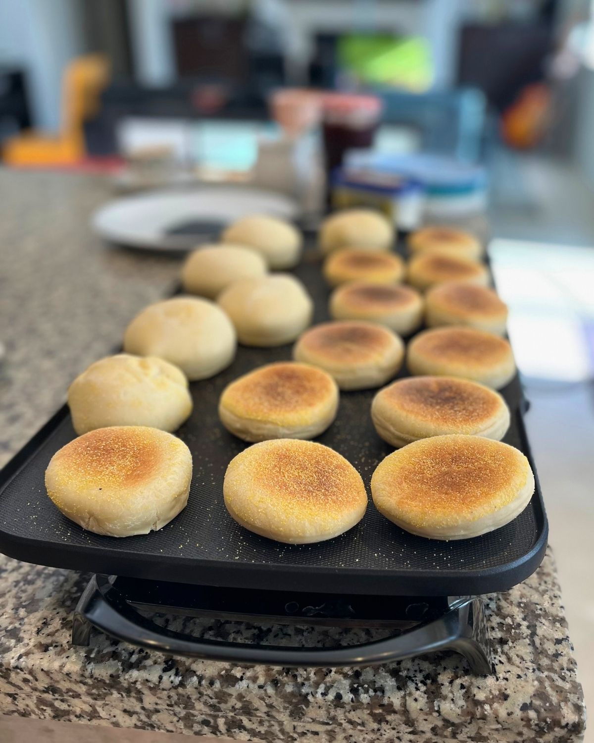 homemade english muffins on griddle on kitchen counter.