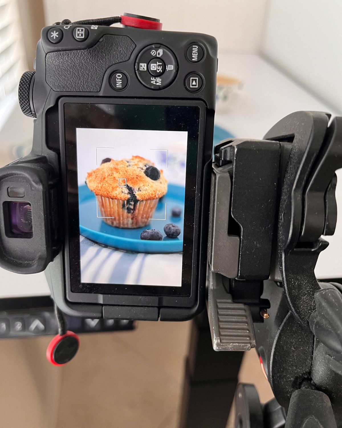 blueberry muffin in view finder of camera.