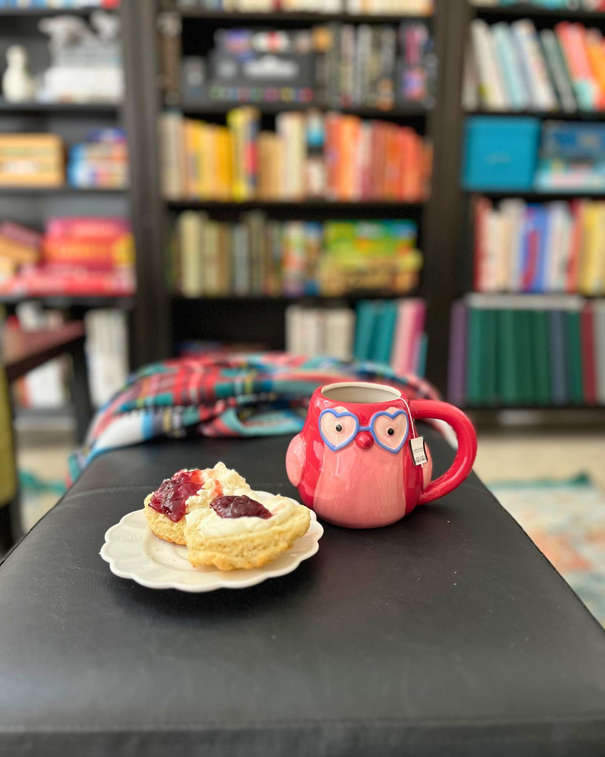view of library with blanket and cream tea on ottoman.
