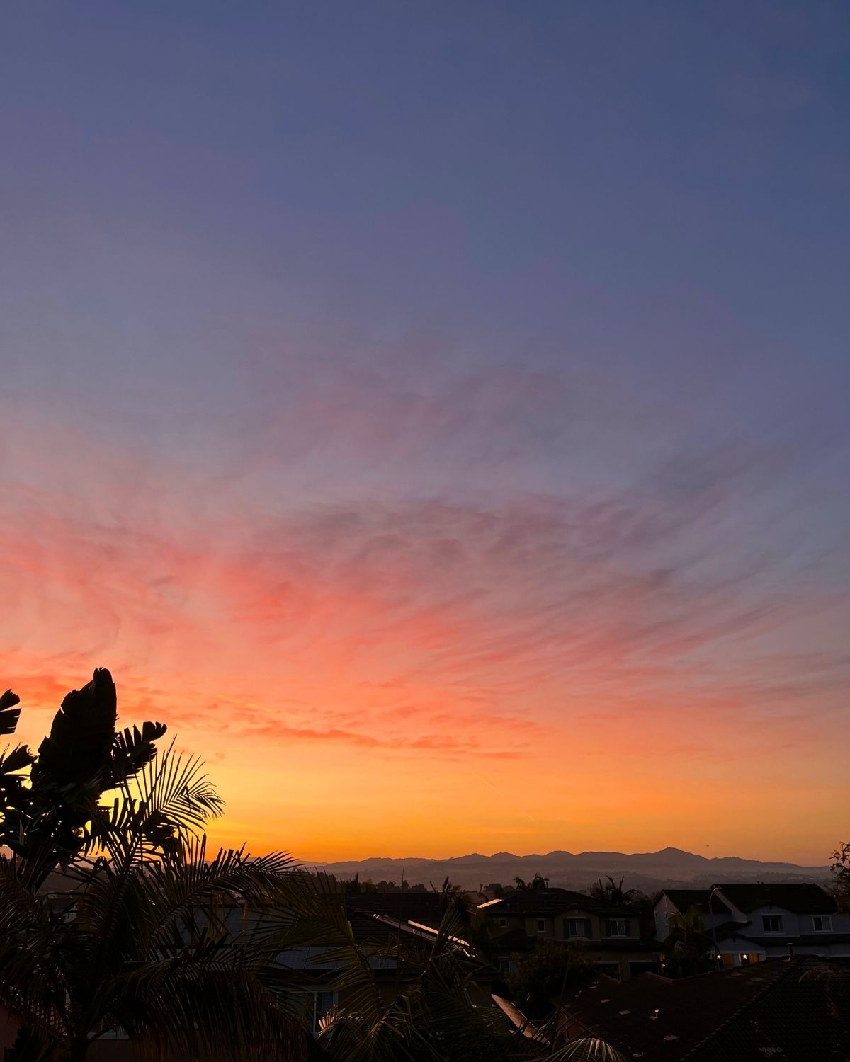 sunrise over the mountains with palm in foreground.