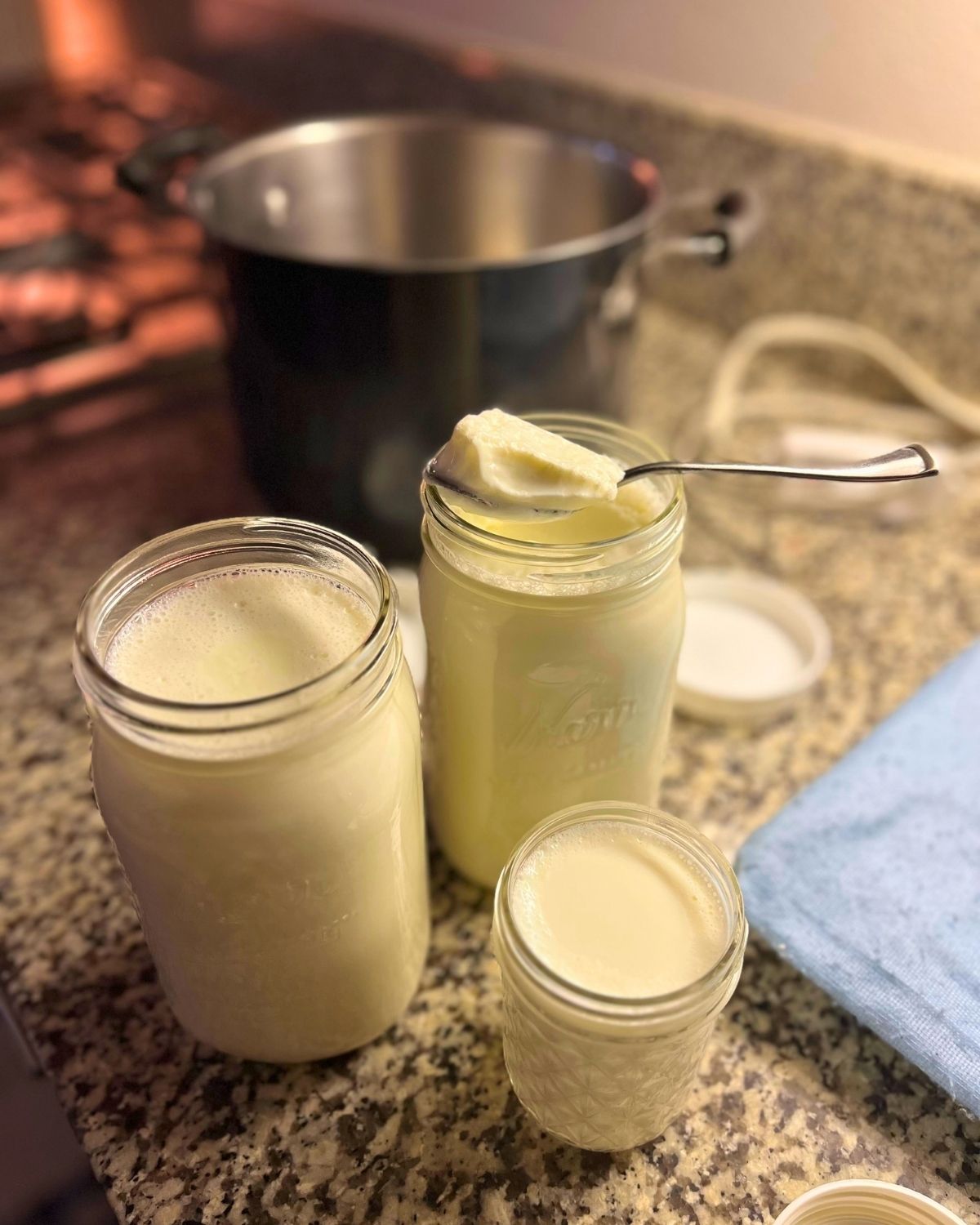 homemade yogurt in mason jars on counter.