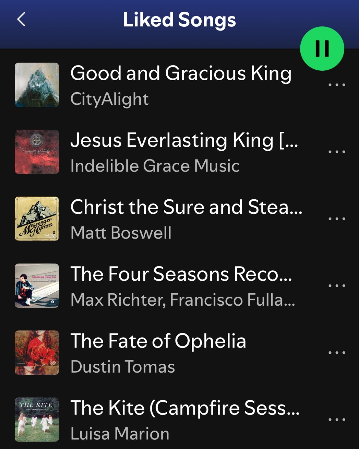 screenshot of liked songs on spotify.