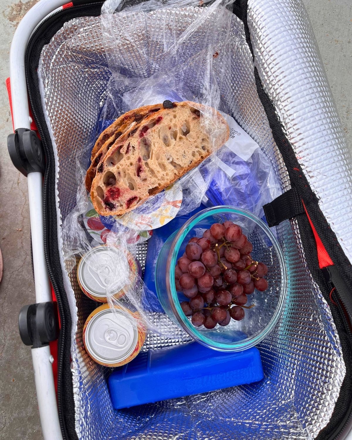 open cooler with bread, grapes, yogurts, and canned waters.