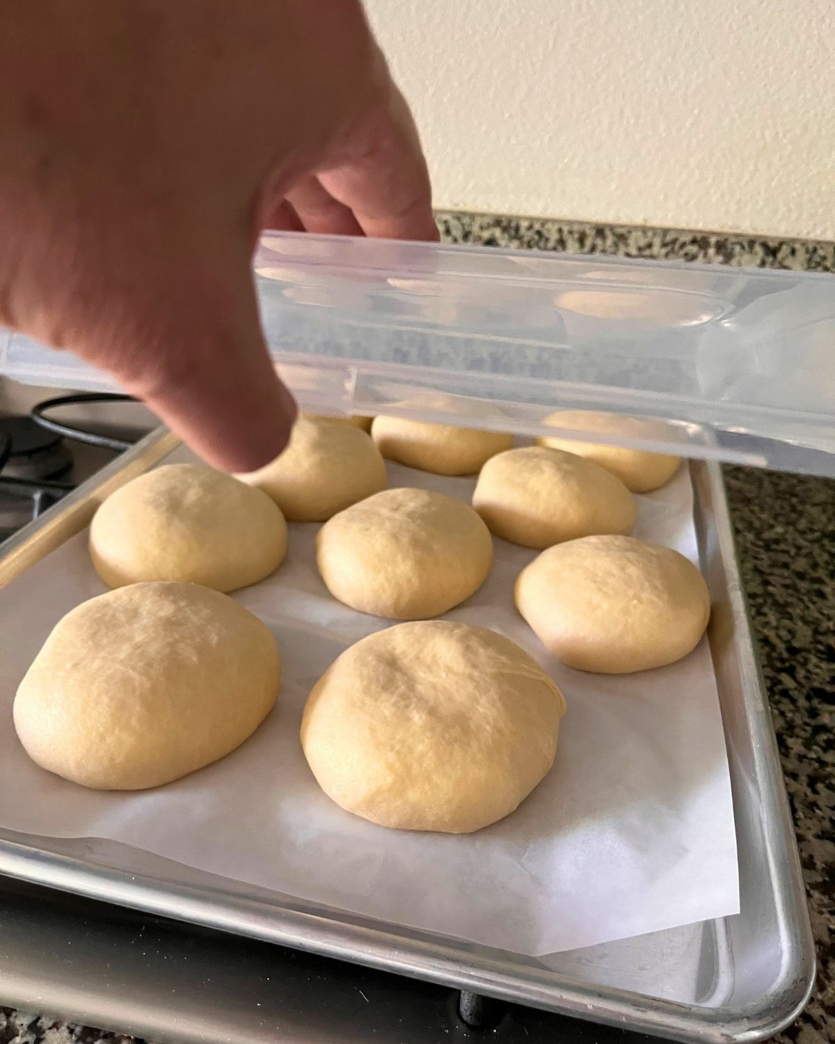 proofing tray with homemade hamburger buns.