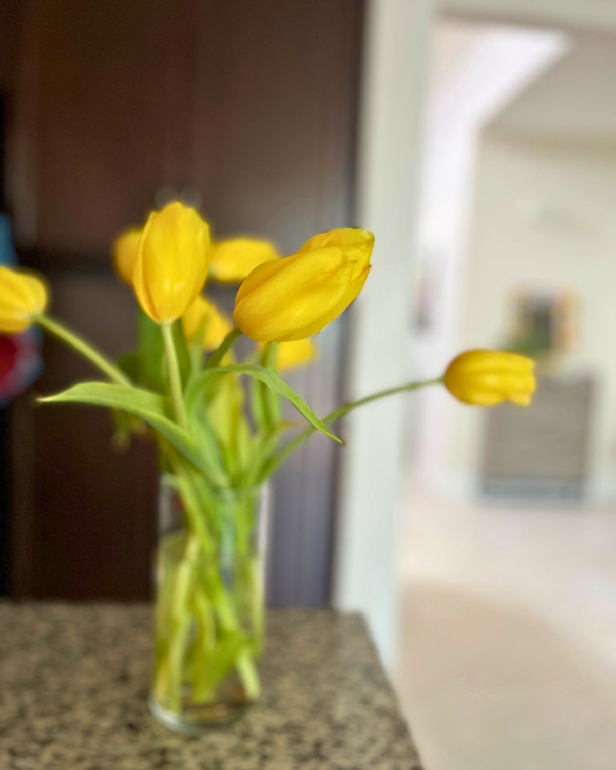 bouquet of yellow tulips on kitchen counter with pennies in the bottom of the vase.
