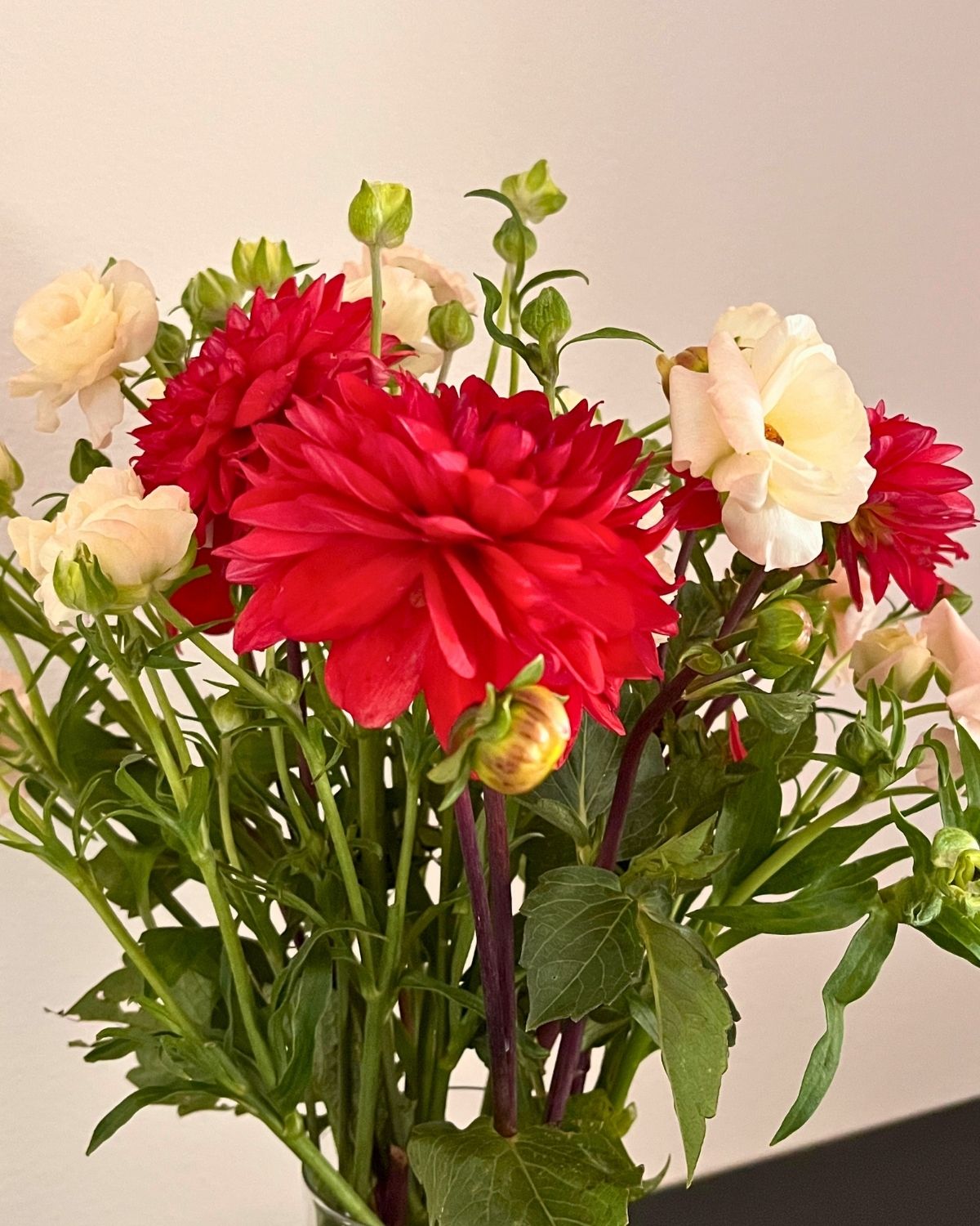 bouquet of red dahlias and white ranunculus.