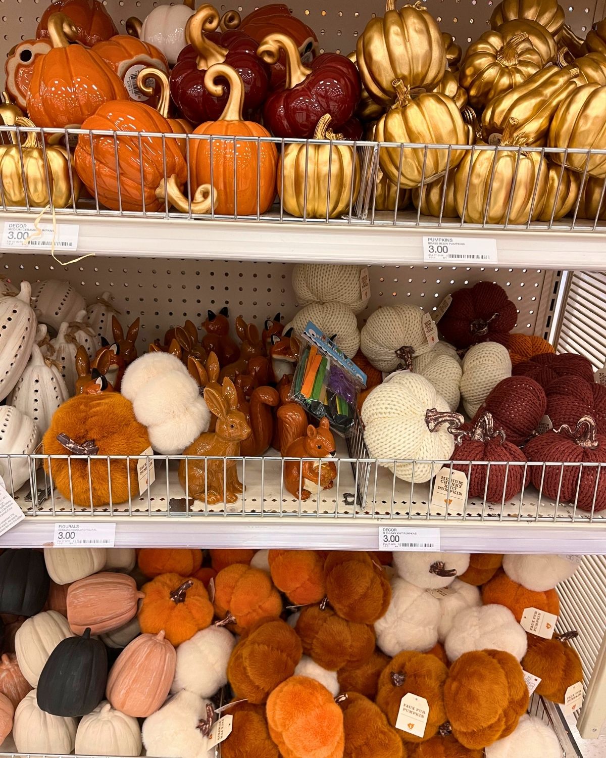 shelves of fall decor at Target.