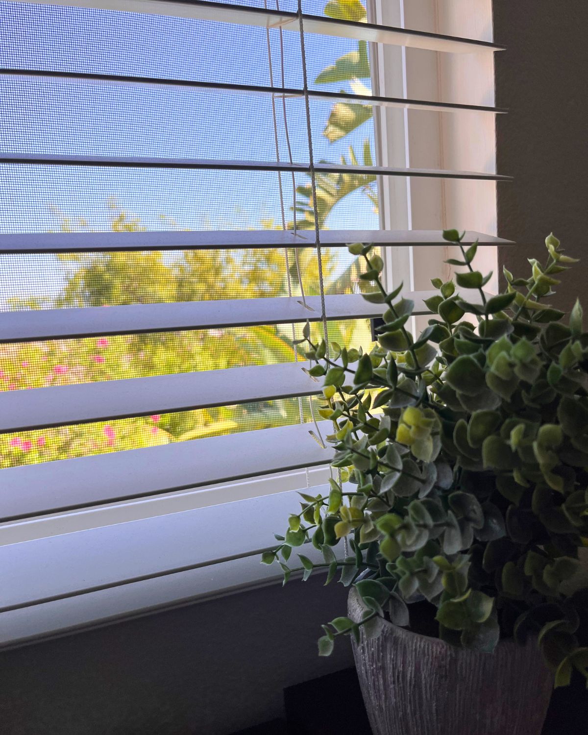 blue skies out the window. 
