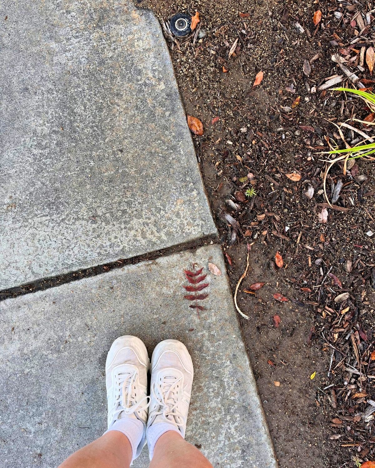 white sneakered feet on a fall path with leaves.