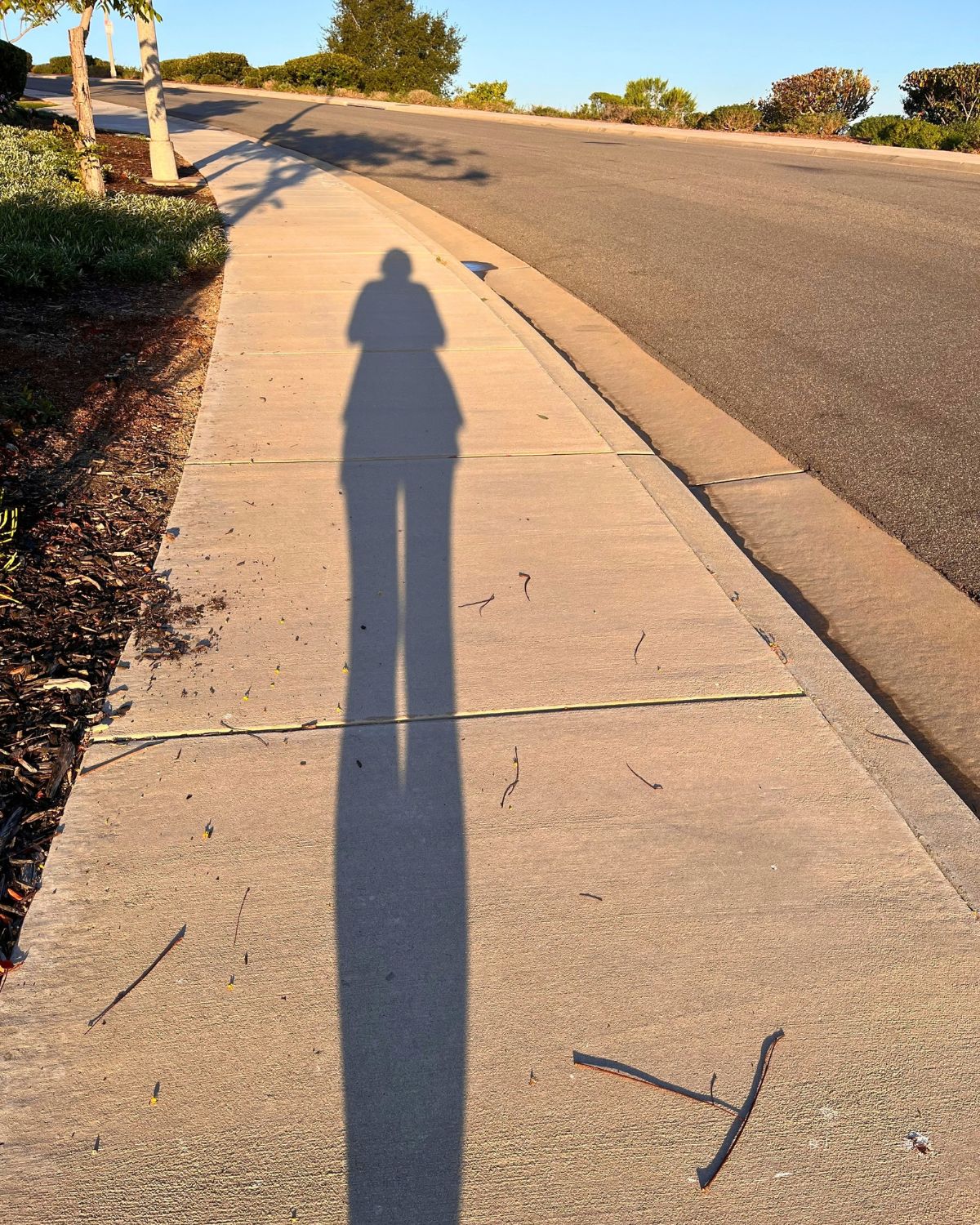 show with long legs walking up hill.